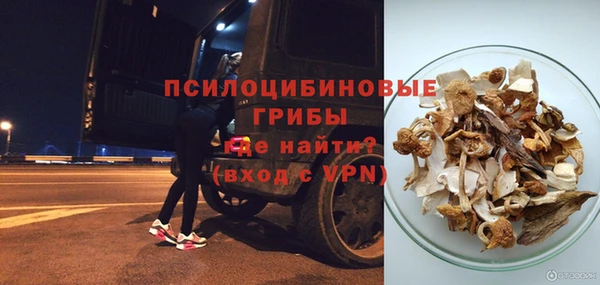 a pvp Ельня