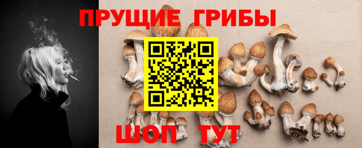 Ефремов  где купить наркоту  Вход с VPN  Псилоцибиновые грибы GOLDEN TEACHER 