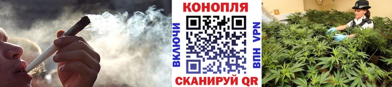 Каннабис OG Kush Ефремов